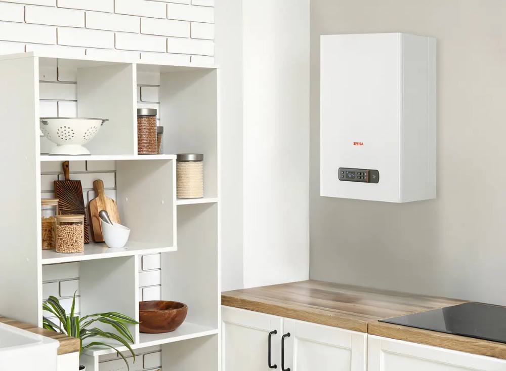 Caldera Peisa Prima Tec 24 Ds F Gn + Kit De Ventilacion Color Blanco - imagen 2