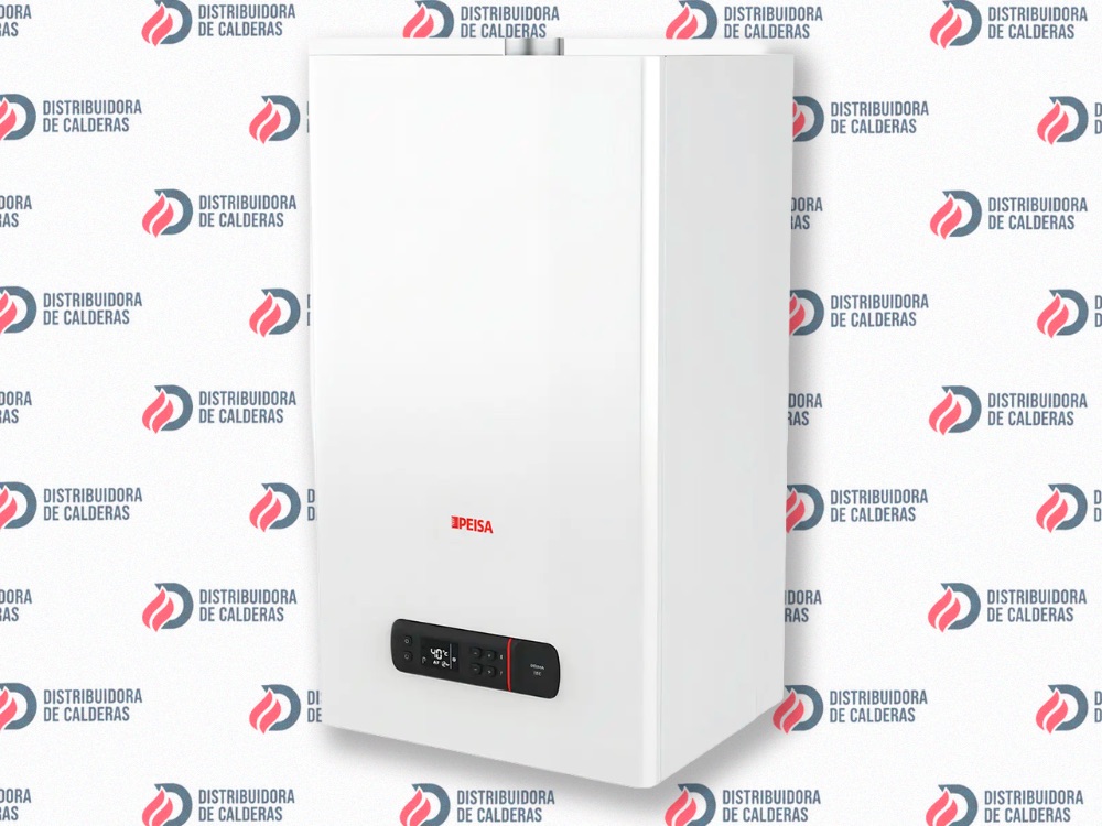 Caldera Peisa Prima Tec 24 Ds F Gn + Kit De Ventilacion Color Blanco - imagen 3