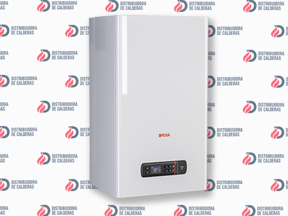 Caldera Peisa Prima Tec 24 Ds F Gn + Kit De Ventilacion Color Blanco - imagen 4