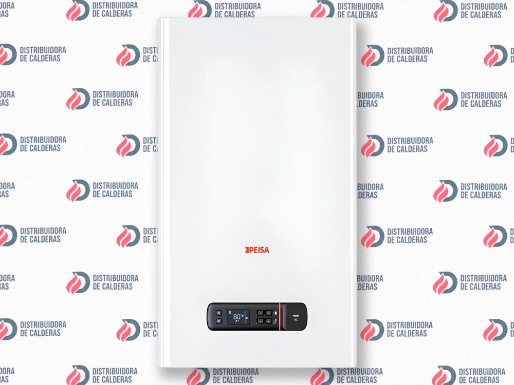 Caldera Peisa Prima Tec 32 Ds F Gn + Kit De Ventilacion Color Blanco